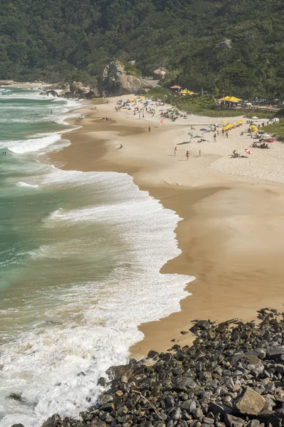 Beautiful Prainha Beach Landscape Atlantic Ocean Atlantic Rainforest Restinga Vegetation — Stock Photo, Image