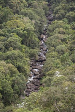 Güzel yeşil Atlantik Rainforest nehir manzara Itatiaia Milli Parkı, Serra da Mantiqueira, Rio de Janeiro, Brezilya için