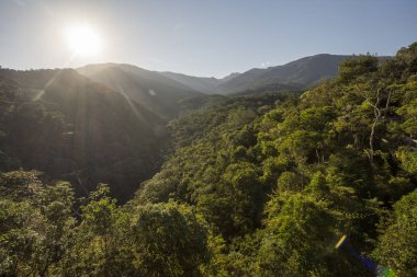 Güzel yeşil Atlantik Rainforest peyzaj Itatiaia Milli Parkı, Serra da Mantiqueira, Rio de Janeiro, Brezilya için