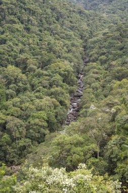Güzel yeşil Atlantik Rainforest nehir manzara Itatiaia Milli Parkı, Serra da Mantiqueira, Rio de Janeiro, Brezilya için