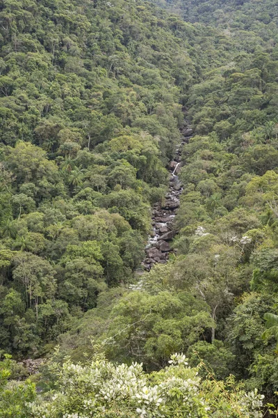 Indah Hijau Atlantic Rainforest Sungai Lanskap Itatiaia Taman Nasional Serra — Stok Foto