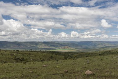 Tipik cerrado bitki Chapada dos Veadeiros, Goias, merkezi Brezilya güzel manzara