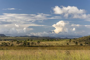 Güzel cerrado peyzaj ve bitki örtüsü Chapada dos Veadeiros, Goias, merkezi Brezilya