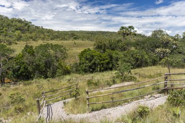 Tipik cerrado bitki Chapada dos Veadeiros, Goias, merkezi Brezilya güzel manzara