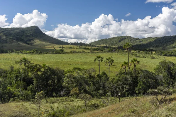 Kaunis Maisema Tyypillinen Cerrado Kasvillisuus Chapada Dos Veadeiros Goias Keski — kuvapankkivalokuva