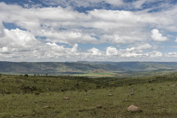 Bela Paisagem Com Vegetação Típica Cerrado Chapada Dos Veadeiros Goiás — Fotografia de Stock