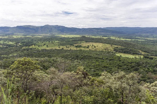 Vackert Landskap Med Typisk Cerrado Vegetation Chapada Dos Veadeiros Goias — Stockfoto