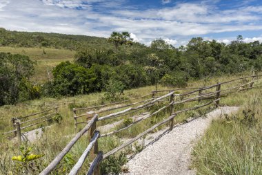 Tipik cerrado bitki Chapada dos Veadeiros, Goias, merkezi Brezilya güzel manzara
