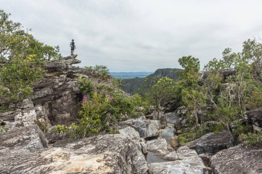 Genç güzel doğal cerrado manzara arka planda ile kayalık kenarında ayakta yetişkin, Mirante da Janela zammı, Chapada dos Veadeiros, Goias, merkezi Brezilya