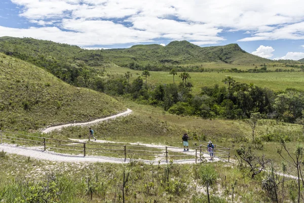 Dois Jovens Adultos Caminhando Trilha Pela Vegetação Cerrado Chapada Dos — Fotografia de Stock