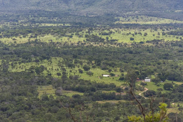 Krásná Krajina Vegetací Typické Cerrado Chapada Dos Veadeiros Goias Centrální — Stock fotografie