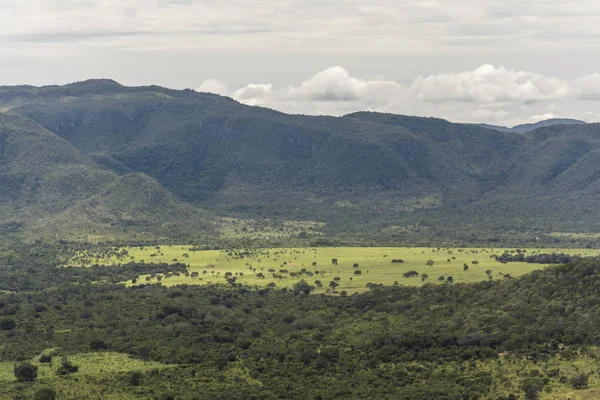 Hermoso Paisaje Con Vegetación Típica Cerrada Chapada Dos Veadeiros Goias — Foto de Stock