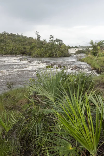 Hermoso Paisaje Con Vegetación Típica Cerrada Río Chapada Dos Veadeiros — Foto de Stock