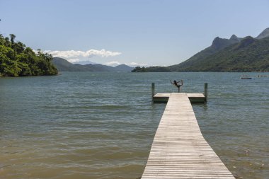 Kadın güzel tropikal yağmur ormanları ve okyanus manzara ile ahşap iskele üzerinde pratik yoga, Saco yapmak Mamangua, Paraty, Costa Verde bölgesi Güney Rio de Janeiro, Brezilya için