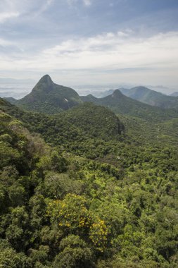 Atlantik yağmur ormanları, Tijuca Forest Ulusal Parkı, Rio de Janeiro, Brezilya için dağların güzel yeşil manzara