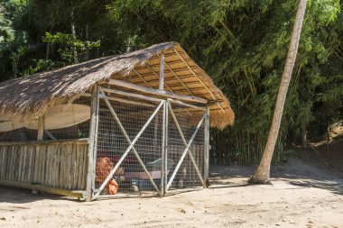 Saco tropikal plajda macera ekipman için küçük kulübe yapmak Mamangua, Paraty, Costa Verde bölgesi Güney Rio de Janeiro, Brezilya için
