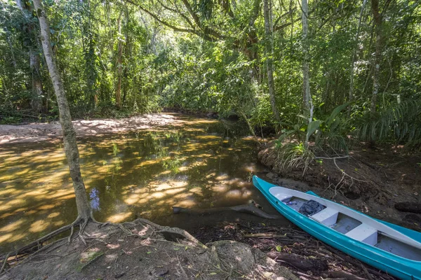Καγιάκ Στον Ποταμό Του Τροπικού Δάσους Saco Κάνουμε Mamangua Paraty — Φωτογραφία Αρχείου