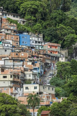 Cerro Cora Rio de Janeiro, Brezilya üzerinden Atlantik Rainforest tepeler genişleyen Favela