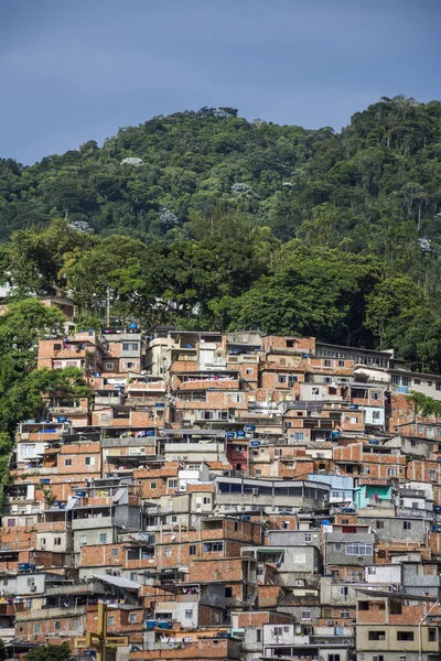 Cerro Cora Favela Rozwija Poprzez Wzgórza Atlantyku Rainforest Rio Janeiro — Zdjęcie stockowe