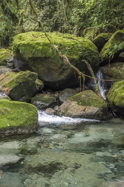 Bela Paisagem Cachoeira Mata Atlântica Com Água Azul Cristalina Reserva — Fotografia de Stock