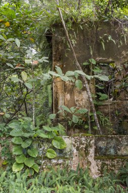 Vila ipe Rios, ipe Rios Beach, Ilha Grande, Costa Verde, Güney Rio de Janeiro, Brezilya arkasında küçük bir köy ormanda tarafından alınan evi terk