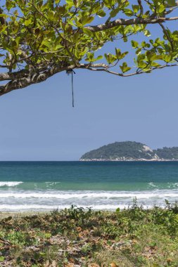 Yeşil su, yemyeşil orman ve Ilha Grande, Costa Verde, Güney Rio de Janeiro, Brezilya için mavi gökyüzü güzel tropikal plaj manzara