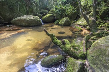 Güzel tropikal nehir havuz peyzaj Ilha Grande, Costa Verde, Güney Rio de Janeiro, Brezilya için yeşil yemyeşil orman ile