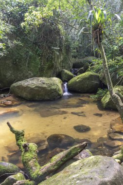 Güzel tropikal nehir havuz peyzaj Ilha Grande, Costa Verde, Güney Rio de Janeiro, Brezilya için yeşil yemyeşil orman ile