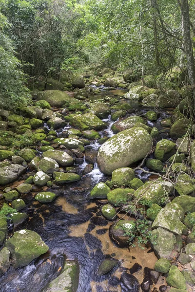 Hermoso Paisaje Río Tropical Con Exuberante Bosque Verde Ilha Grande — Foto de Stock