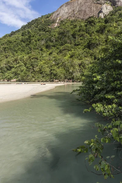Güzel Tropikal Plaj Manzara Nehir Yeşil Yemyeşil Orman Mavi Gökyüzü — Stok fotoğraf