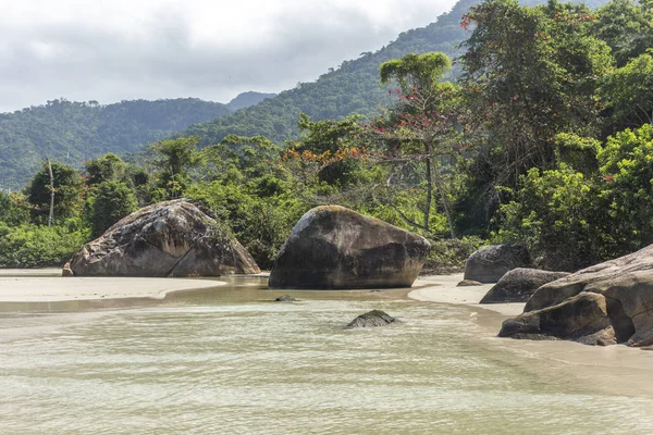 Hermoso Paisaje Playa Tropical Con Agua Verde Pequeño Río Exuberante — Foto de Stock