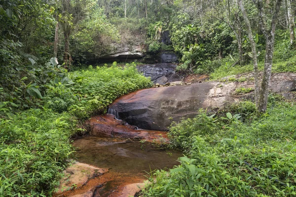 マール ブラジル ジャネイロ州の緑豊かな植生 Tres Picos 田園地帯と美しい山川の風景 — ストック写真