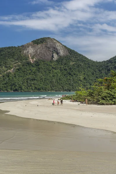 Bellissimo Paesaggio Tropicale Spiaggia Con Acqua Verde Piccolo Fiume Lussureggiante — Foto Stock