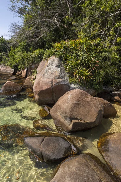 Πανέμορφη Παραλία Τροπικό Τοπίο Πράσινο Νερό Καταπράσινο Δάσος Βράχων Και — Φωτογραφία Αρχείου