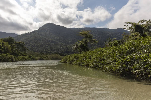 Hermoso Paisaje Playa Tropical Con Río Exuberante Bosque Verde Ilha — Foto de Stock