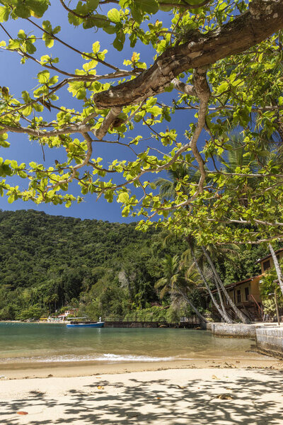 Beautiful tropical beach landscape seen from under tree with green water, lush forest and blue sky in Ilha Grande, Costa Verde, south Rio de Janeiro, Brazil
