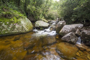 Rio de Janeiro, Brezilya 'da güzel bir şelale.