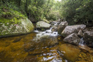 Rio de Janeiro, Brezilya 'da güzel bir şelale.