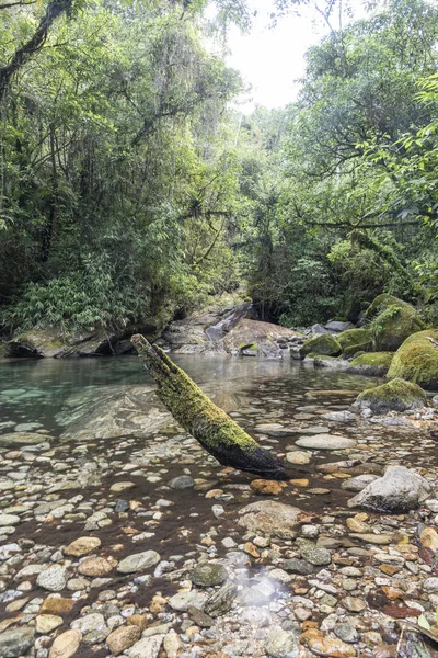 Hermosa piscina de río en la selva tropical, Serrinha do Alambari, Ri — Foto de Stock