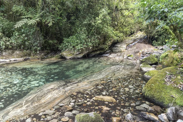 Bela piscina fluvial na floresta tropical, Serrinha do Alambari, Ri — Fotografia de Stock