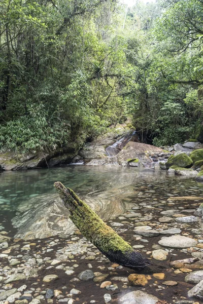 Bela piscina fluvial na floresta tropical, Serrinha do Alambari, Ri — Fotografia de Stock