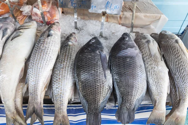 ボタフォゴ、リオデジャネイロのストリートマーケットでの販売のための新鮮な魚 — ストック写真