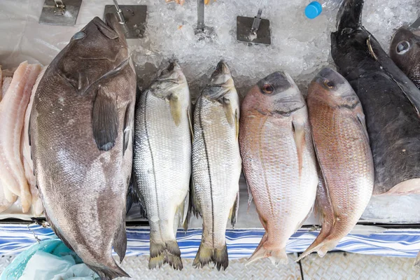 ปลาสดสําหรับขายในตลาดถนนใน Botafogo, Rio de Janeiro — ภาพถ่ายสต็อก