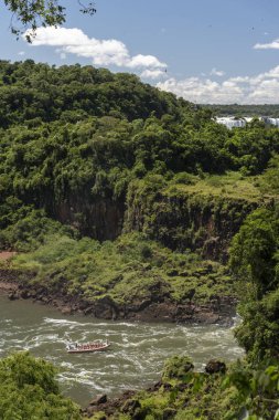 Yeşil atlantik yağmur ormanları ve Iguazu Rive güzel manzara