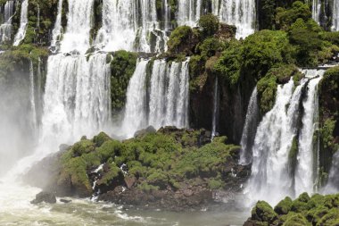 Yeşil atlantik rainf üzerinde ayarlanmış büyük şelale güzel manzara