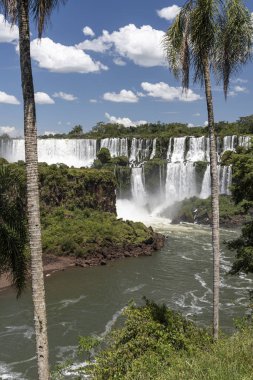Yeşil atlantik rainf üzerinde ayarlanmış büyük şelale güzel manzara