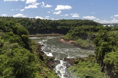 Yeşil atlantik yağmur ormanları ve Iguazu Rive güzel manzara