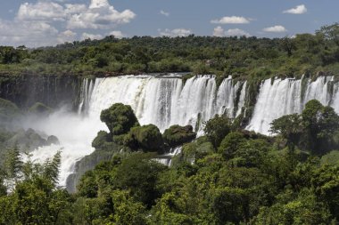 Yeşil atlantik rainf üzerinde ayarlanmış büyük şelale güzel manzara