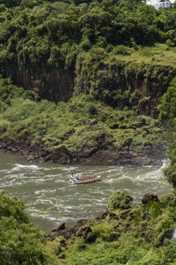 Yeşil atlantik yağmur ormanları ve Iguazu Rive güzel manzara