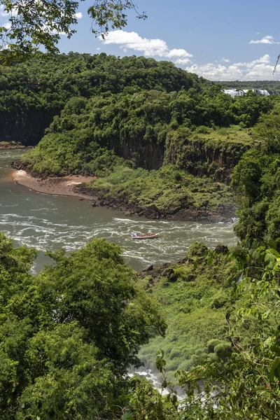 Hermoso paisaje de verde selva atlántica e Iguazú Rive — Foto de Stock
